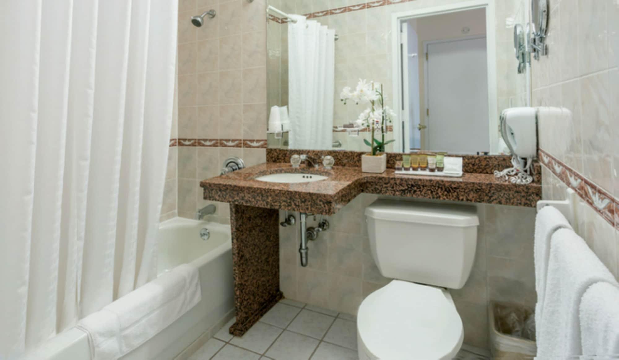 Chelsea Savoy Hotel New York Buitenkant foto
